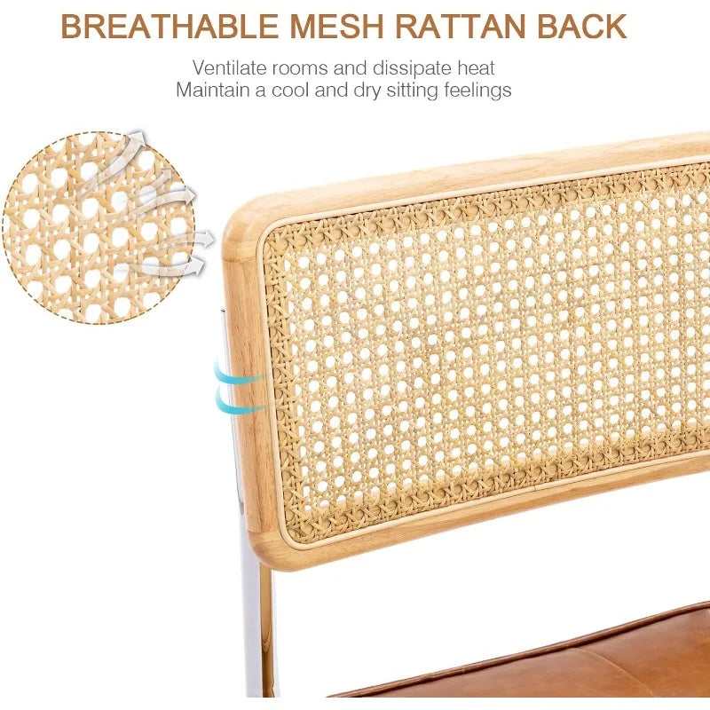 Zesthouse Mid-Century Modern Dining Chairs, Accent Rattan Kitchen Armless Mesh Back Cane Upholstered Leather Chairs